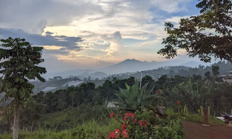 Bukit Bintang Bandung Pesona Keindahan Alam Di Puncak Paris Van Java