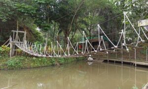 Intip Keindahan Air Terjun Pinang Seribu Di Samarinda Itrip