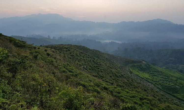 Taman Nasional Gunung Halimun Salak