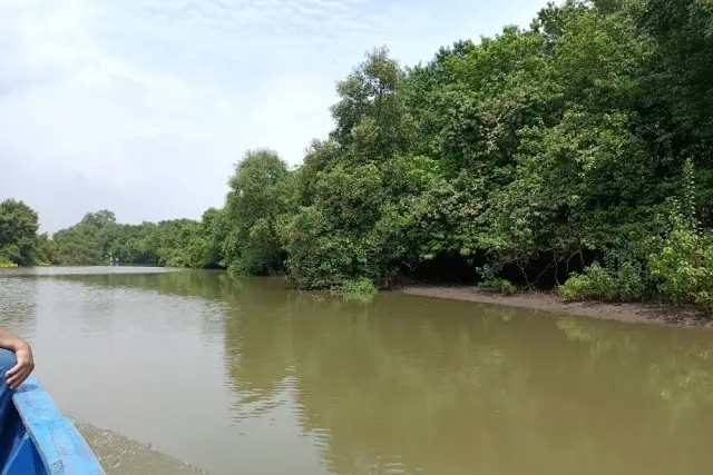 Pantai Kepetingan