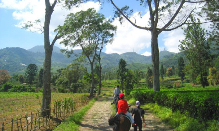 21 Tempat Wisata Di Puncak Bogor Terbaru & Lagi Hits Dikunjungi - ITrip