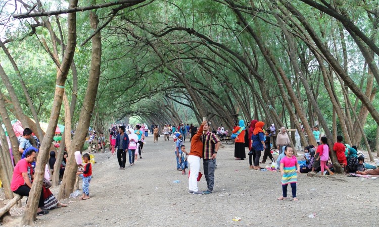 Pohon Miring Pancawati Tempat Rekreasi Favorit Di Karawang Itrip