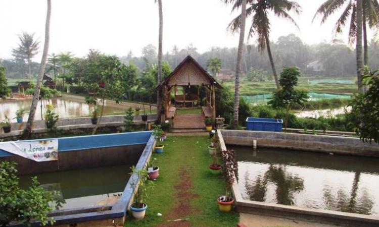 Destinasi Wisata Sehat Taman Herbal Insani di Depok - iTrip