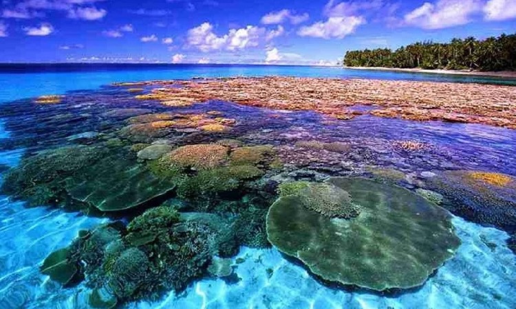 Taman Nasional Bunaken Surga Bawah Laut Andalan Sulawesi Utara Itrip