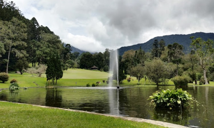 Kebun Raya Cibodas, Destinasi Wisata Favorit Untuk Liburan Keluarga Di ...