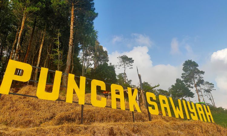 Alamat Puncak Saviya