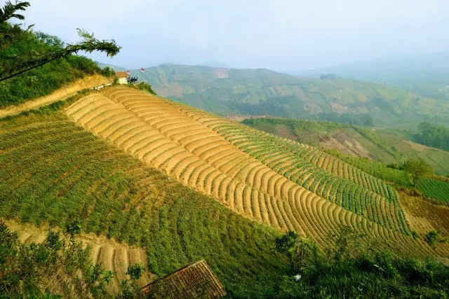 Puncak Saviya, menikmati panorama alam yang eksotik dari atas di Majalengka