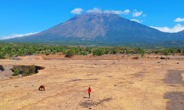 Hal yang dapat dilakukan di Savana Tianyar