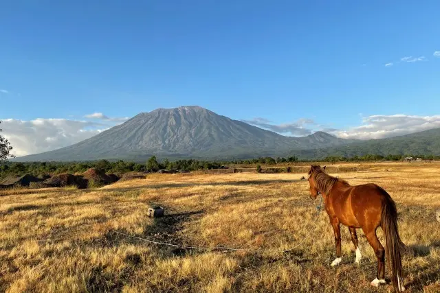 Savana Tianyar, pesona padang rumput eksotis di kaki Gunung Agung Karangasem.