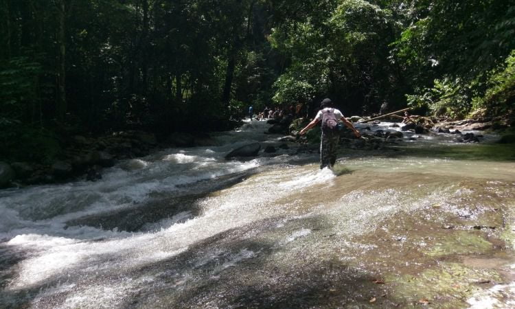 Menjelajahi Pesona Tersembunyi Air Terjun Lau Berte: Destinasi Wisata yang Menakjubkan