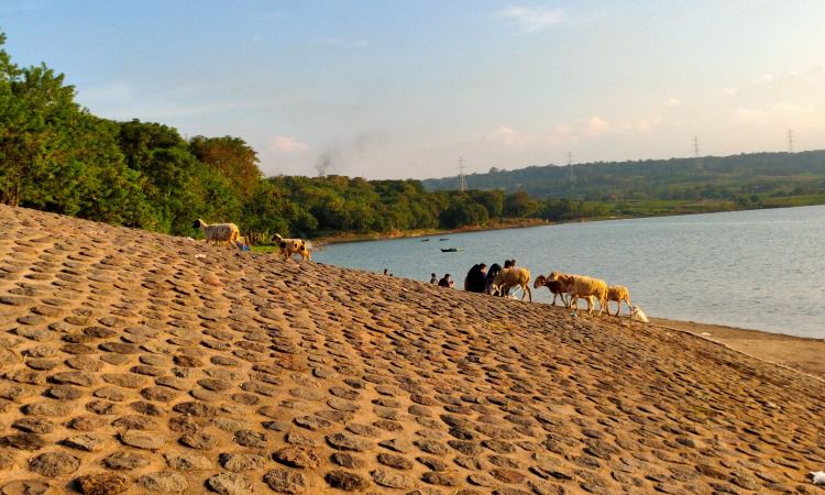 Aktivitas menarik di Setu Patok