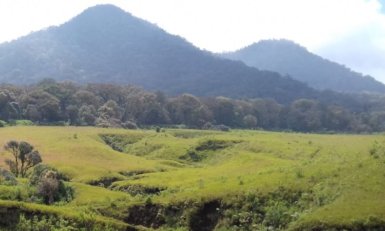 Alamat Savana Tegal Panjang