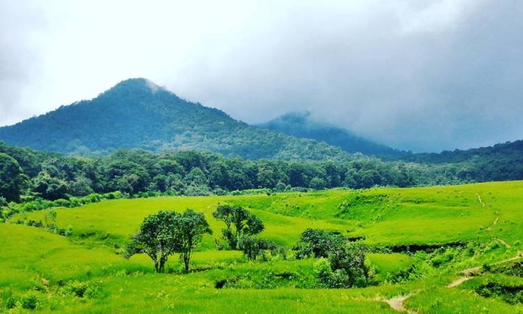 Atraksi Kain Kafan Tegal Panjang