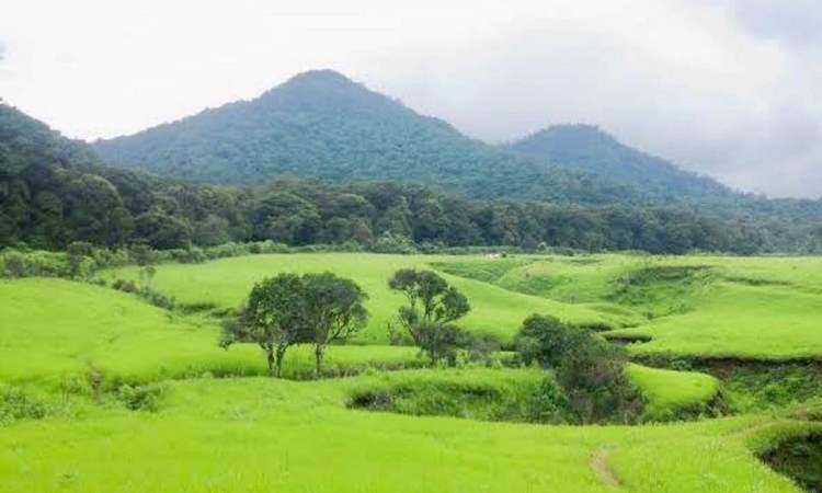 Fasilitas Savana Tegal Panjang