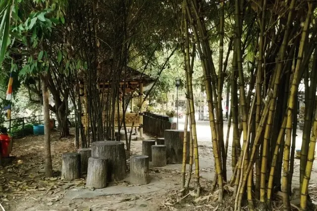 Objek wisata hutan bambu bekasi.